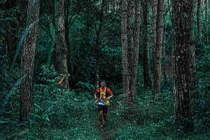 BIB: 
                            <button type="button" onclick="openModal(25238231)" class="btn btn-primary btn-sm float-right btn-popup" data-toggle="modal" data-target=".modal-high-quality">
                        <i class="fas fa-shopping-cart"></i> Add to Cart
                    </button>
                                            <button type="button" onclick="isThisMe(25238231, true)" class="btn btn-success btn-sm float-right btn-popup btn-isme hidden" data-toggle="tooltip" data-placement="bottom" title="นี่คือรูปของคุณใช่ไหม คลิกที่นี่เพื่อเอาเข้าอัลบั้ม">
                        <i class="fas fa-plus"></i> Add to album
                    </button>
                    <button type="button" onclick="isThisMe(25238231, false)" class="btn btn-warning btn-sm float-right btn-popup btn-isnotme hidden">
                        <i class="fas fa-ban"></i> Remove from album
                    </button>